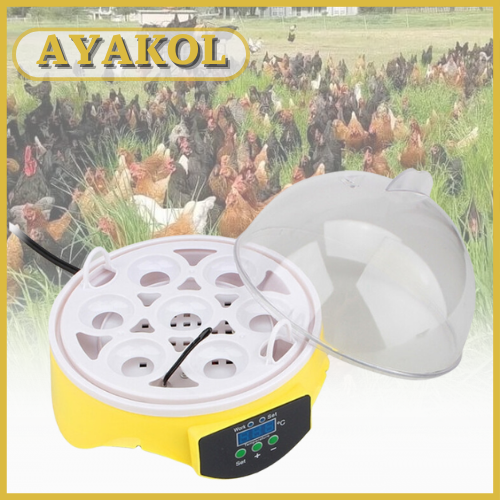 AYAKOL™ حاضنة البيض المتعددة الإستخدامات